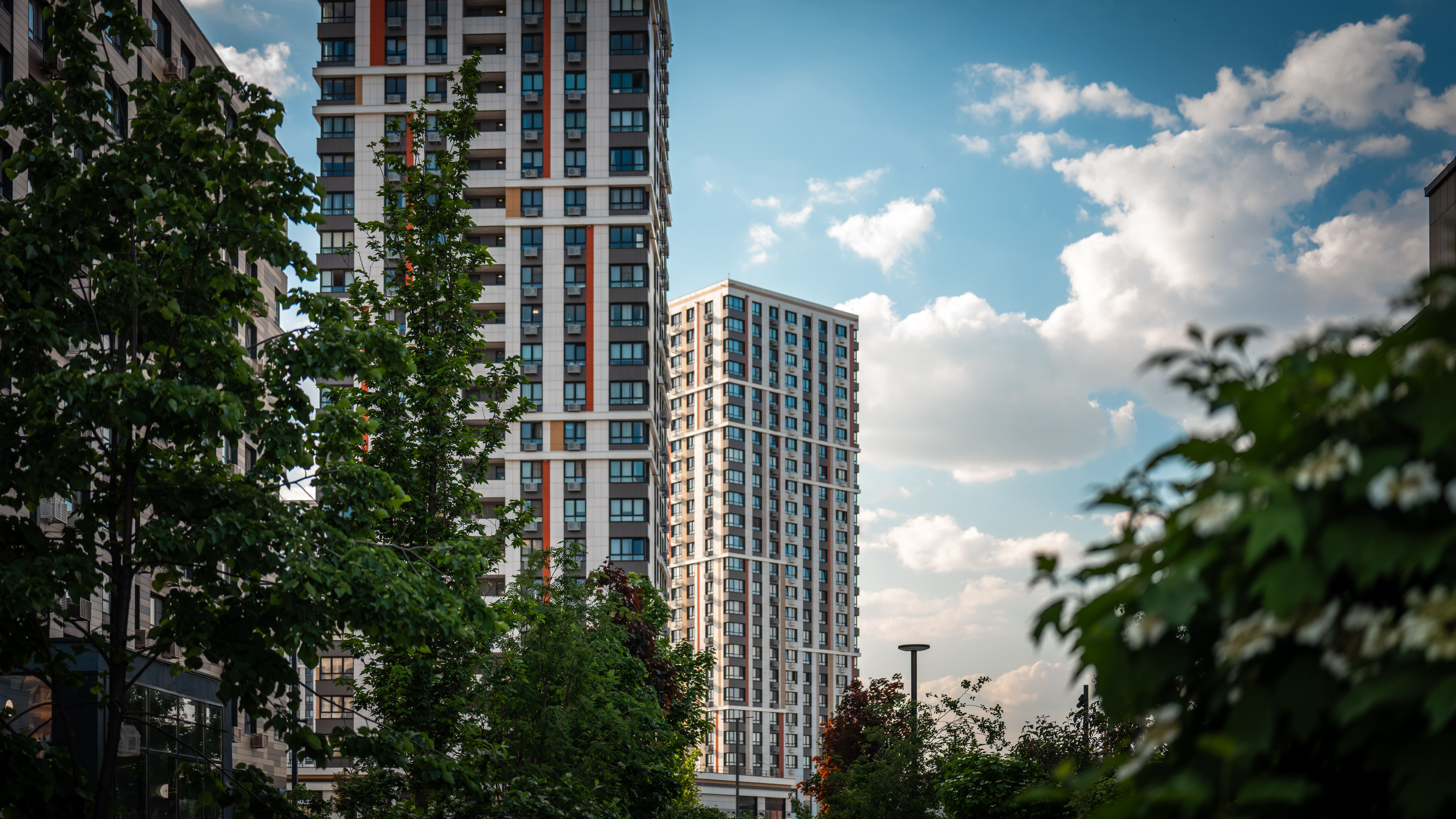Планировка Студия 8