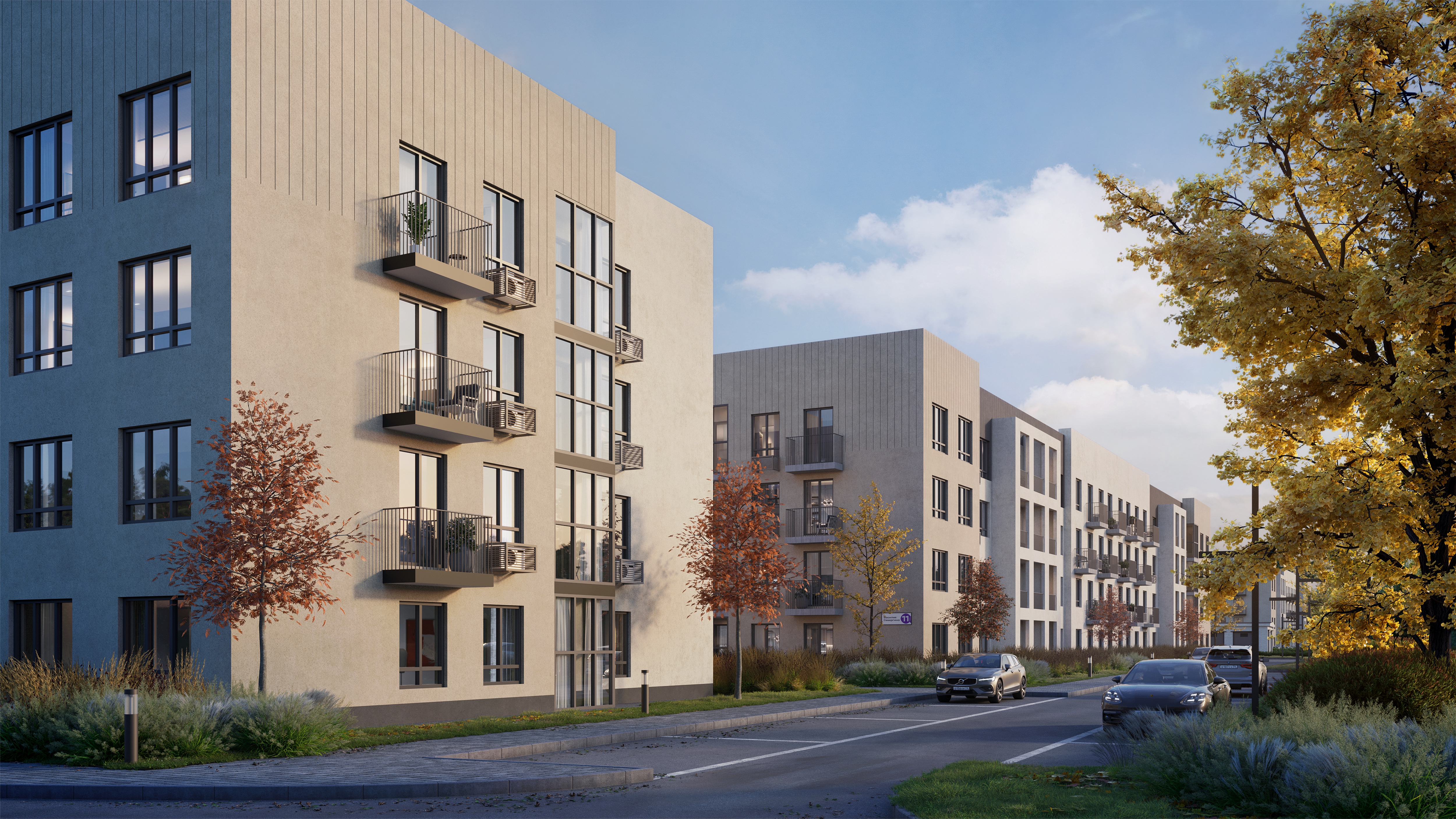 Смородина 3